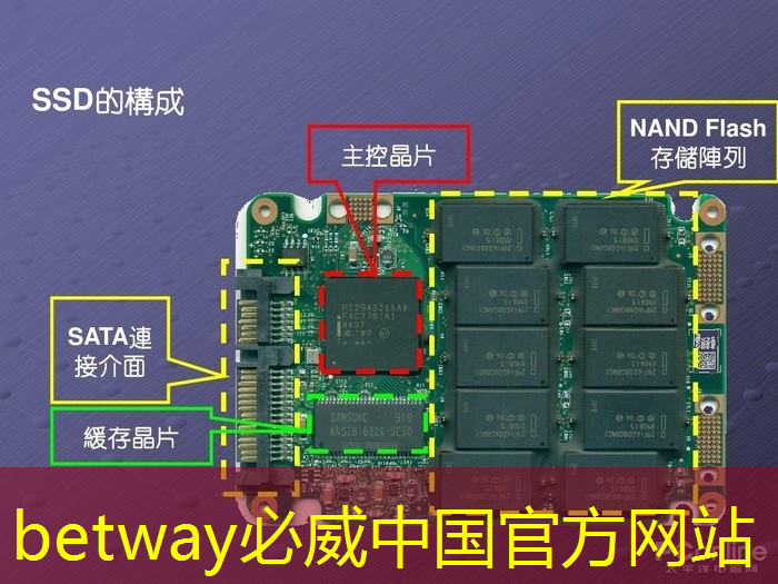 betway必威:芝麻投影如何选择? betway必威:芝麻投影如何选择?