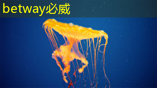 betway必威中国官方网站:智慧物流与智能生产的区别 betway必威中国官方网站:智慧物流与智能生产的区别