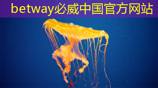 必威:智慧城市噪声监控系统2015年 必威:智慧城市噪声监控系统2015年