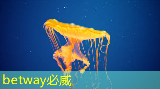智慧商显系统如何满足多元化的消费者需求? 智慧商显系统如何满足多元化的消费者需求?