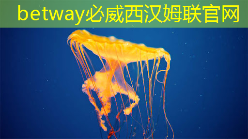 必威:智慧城市最大的阻碍因素 必威:智慧城市最大的阻碍因素