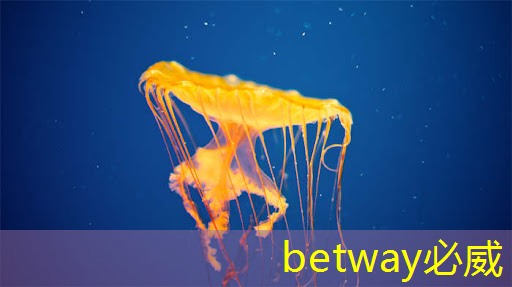 betway必威西汉姆联官网:数拓智慧商显:探索未来商业可视化的无限可能 betway必威西汉姆联官网:数拓智慧商显:探索未来商业可视化的无限可能
