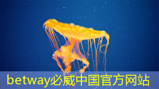 betway必威中国官方网站:提升教学效果:智慧互动投影仪的用法与技巧 betway必威中国官方网站:提升教学效果:智慧互动投影仪的用法与技巧