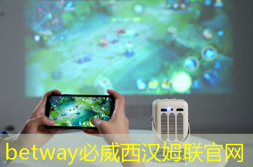 电子视频贺卡在节日促销活动中的商业价值分析 电子视频贺卡在节日促销活动中的商业价值分析