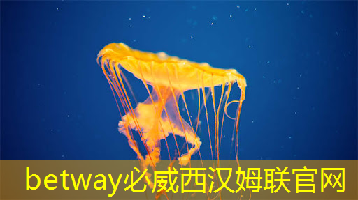 必威:多功能、高效率!商显智慧终端加速商业发展! 必威:多功能、高效率!商显智慧终端加速商业发展!