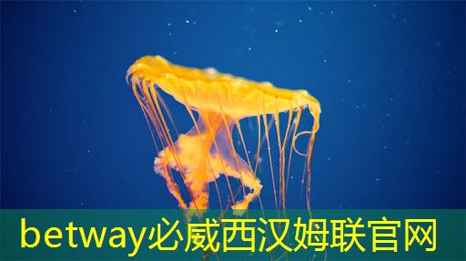必威:芯片卖不动了,芯片行业危矣? 必威:芯片卖不动了,芯片行业危矣?