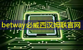 betway必威中国官方网站:Talk预告 | 类脑芯片应用遭质疑?他山科技CEO孙滕谌带来分布式类脑芯片创新性研究分享 betway必威中国官方网站:Talk预告 | 类脑芯片应用遭质疑?他山科技CEO孙滕谌带来分布式类脑芯片创新性研究分享