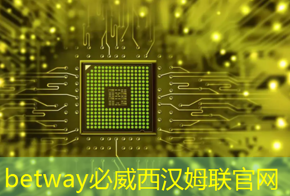 betway必威：快手SL200芯片获选2023世界互联网大会“创新发展典型案例”