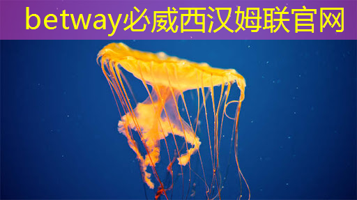 必威：启迪企业｜稻源科技发布人工智能边缘计算AI芯片
