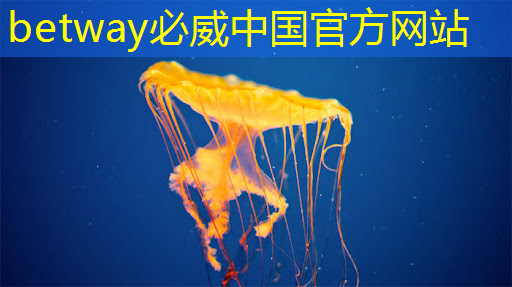 ASIC芯片+AI智算中心+布局硅光芯片+重组预期，潜力秒杀双成药业，问鼎2024跨年第一龙头