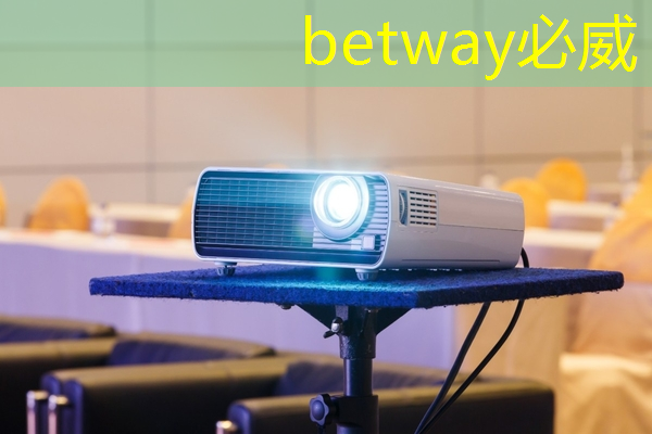 betway必威西汉姆联官网：一年的时间，这家上海芯片独角兽又给我们带来了什么惊喜？