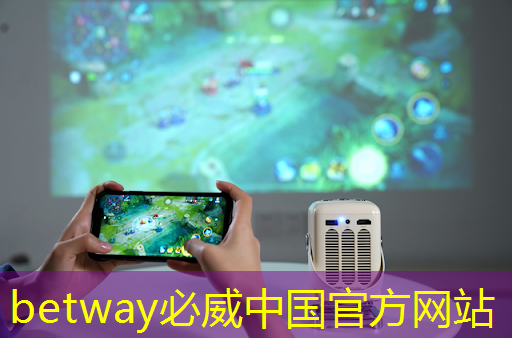 betway必威中国官方网站：猎头顾问如何选择行业？芯片设计？智能驾驶？储能？医疗？制造业？金融？电源&电力电子？嵌入式C／C++领域？互联网？机器人？