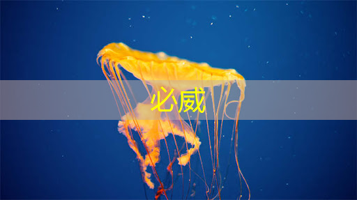 必威：美媒：全球芯片短缺或持续到2023年