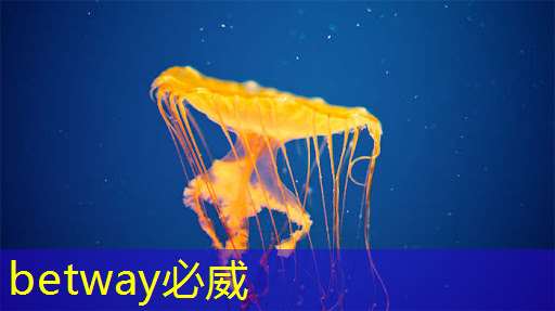 台湾芯片产业的角力，未来新战争的焦点