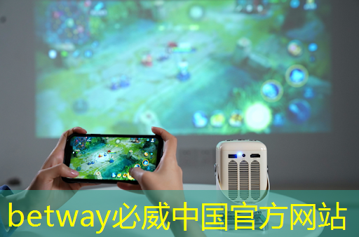 betway必威中国官方网站：利扬芯片接待1家机构调研，包括2024年半年度业绩说明会