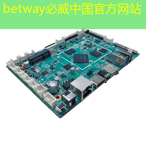 betway必威西汉姆联官网：10+主流整车企业、20+重点芯片企业都来啦！中汽协会车芯供需对接会无锡站成功举办