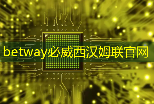 betway必威西汉姆联官网：“万物互联芯片”项目：开拓万亿级元宇宙市场｜深创赛国际赛“优质项目”风采