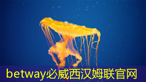 国产亿级像素成像芯片解决方案商威派视授权世强硬创代理全线产品
