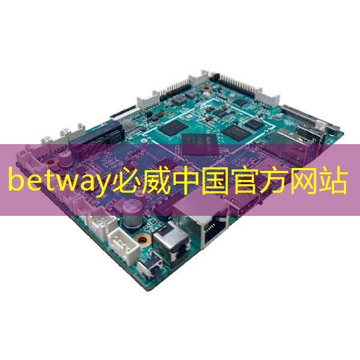 美芯片禁令禁的是美国自己的财路自主开发走出不一样的康庄大道
