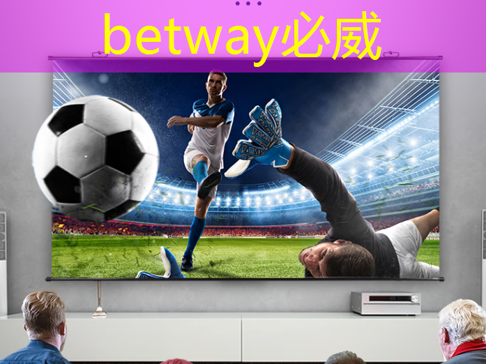 betway必威：零跑B10即将上市，全系8295芯片，配激光雷达，家用值得一看