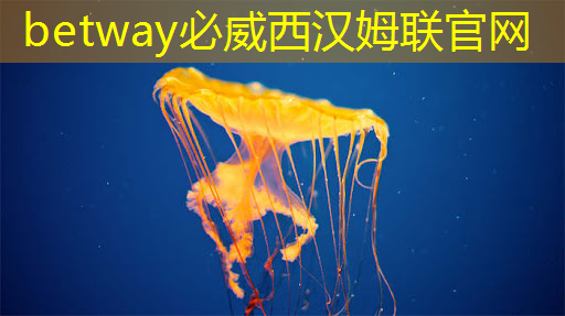 必威：国产芯片现状大揭秘：我们在追赶什么？