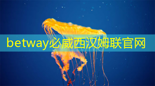 betway必威西汉姆联官网:张强:中国汽车智能芯片行业里的行动派 betway必威西汉姆联官网:张强:中国汽车智能芯片行业里的行动派