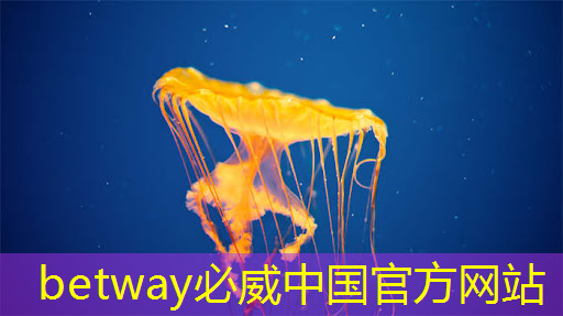 倒计时2天 ｜ 车规芯片、半导体装备、光电子及新应用方向，三大MEMS细分技术主题论坛限时报名
