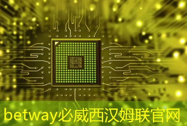 betway必威：英集芯这颗快充协议芯片打入紫米供应链：累计出货破千万颗！