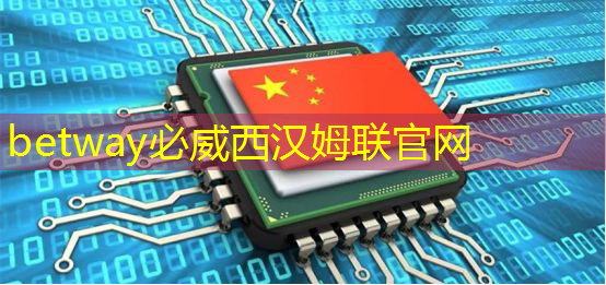 betway必威中国官方网站：AI 智能时代的 Azure Maia：从芯片到软件再到系统