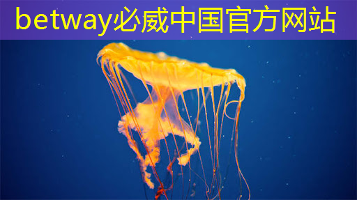 云豹智能产品应用负责人安东尼：云原生DPU芯片的创新与应用｜直播预告