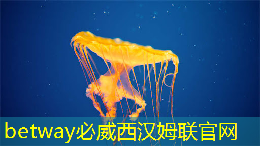 必威：公开课预告：一芯多屏趋势下，智能座舱芯片的创新与应用