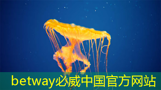 必威：曾航：支持国产芯片，从培育生态开始