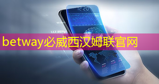 betway必威：黑芝麻智能冲击“本土智驾芯片第一股”，下代SoC预计今年推出