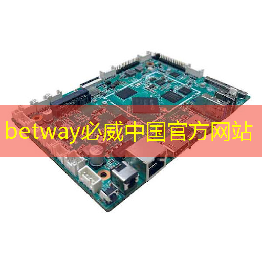 必威：为旌科技黄智：小而美的智能AI视觉芯片是怎么炼成的