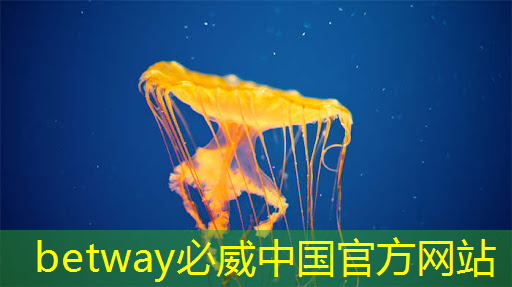 betway必威西汉姆联官网:华为麒麟芯片AI首席科学家,解读AI芯片如何让手机更智能 betway必威西汉姆联官网:华为麒麟芯片AI首席科学家,解读AI芯片如何让手机更智能