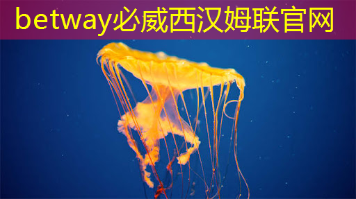 脸书也要自建团队设计芯片,想降低对英特尔、高通的依赖 脸书也要自建团队设计芯片,想降低对英特尔、高通的依赖