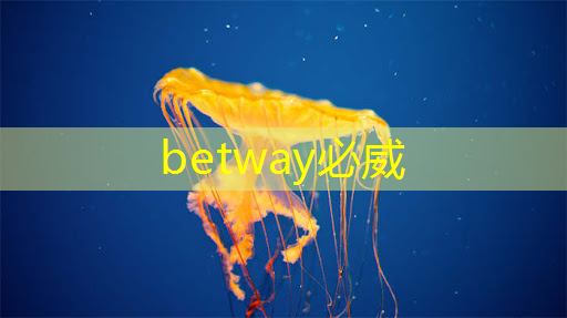 betway必威西汉姆联官网:免费升级芯片获好评,但软件要跟上,极氪群友这样看 betway必威西汉姆联官网:免费升级芯片获好评,但软件要跟上,极氪群友这样看