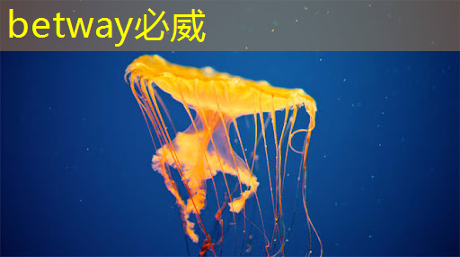 必威:《人工智能芯片技术白皮书(2018)》发布(附下载) 必威:《人工智能芯片技术白皮书(2018)》发布(附下载)