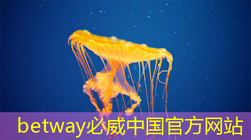 betway必威西汉姆联官网：最全集成电路、半导体芯片板块投资标的及独家资料（收藏帖）