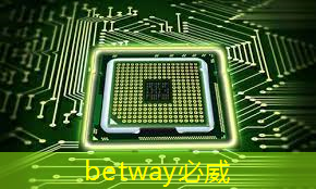 美国以“国家安全”名义,审查中国使用RISC-V芯片技术的风险 美国以“国家安全”名义,审查中国使用RISC-V芯片技术的风险