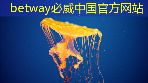 必威:中科院唯一认证的芯片+人形机器人霸主,或将1000%增长 必威:中科院唯一认证的芯片+人形机器人霸主,或将1000%增长