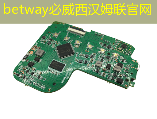 betway必威中国官方网站:一年的时间,这家上海芯片独角兽又给我们带来了什么惊喜? betway必威中国官方网站:一年的时间,这家上海芯片独角兽又给我们带来了什么惊喜?
