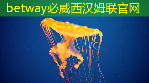 betway必威：全志科技领涨，芯片股新宠儿
