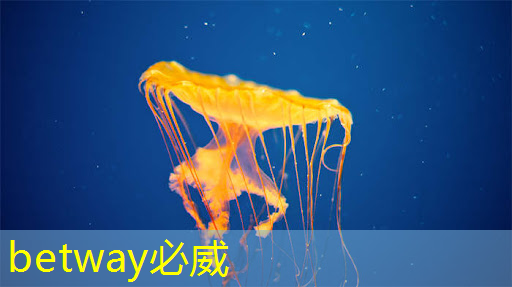 betway必威:AI芯片龙头业绩狂飙1033%!世界领先+国内第一,东方“博通”强势崛起! betway必威:AI芯片龙头业绩狂飙1033%!世界领先+国内第一,东方“博通”强势崛起!