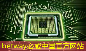 必威:上海市芯片制造与封装电子电镀专题研讨会在上海大学顺利召开! 必威:上海市芯片制造与封装电子电镀专题研讨会在上海大学顺利召开!