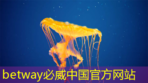 betway必威:【拜登】拜登加剧与中国的人工智能芯片战 betway必威:【拜登】拜登加剧与中国的人工智能芯片战
