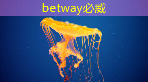 betway必威西汉姆联官网:语音AI芯片在智能家居不同场景如何应用?杭州国芯AI事业部总经理凌云周四讲解! betway必威西汉姆联官网:语音AI芯片在智能家居不同场景如何应用?杭州国芯AI事业部总经理凌云周四讲解!