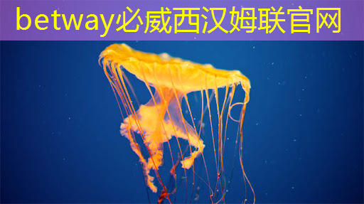 betway必威西汉姆联官网:中国首颗超500比特超导量子计算芯片交付 betway必威西汉姆联官网:中国首颗超500比特超导量子计算芯片交付