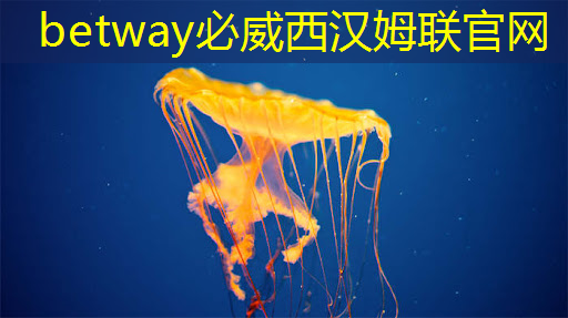 betway必威：NDA非破坏性分析：芯片制造的隐形守护者