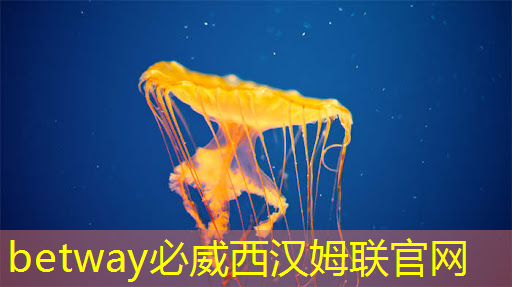 【寒假】沉浸式芯片科技探索体验营——思无域 行无疆 玩科技 驭未来‍